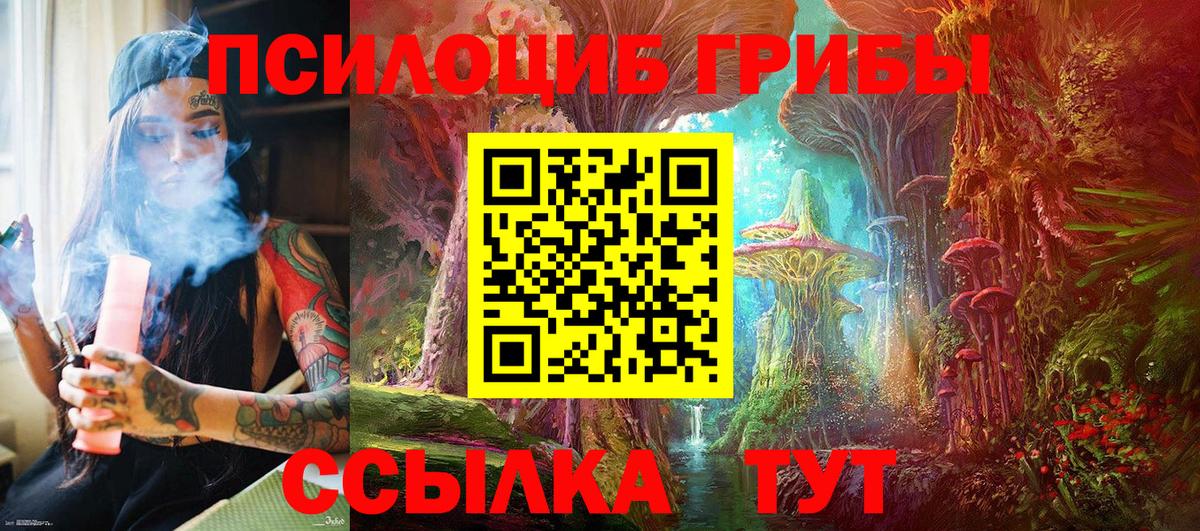 Бошки Шишки Кировск