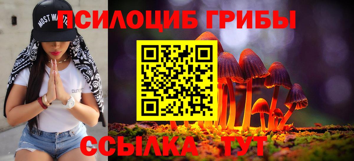 Псилоцибиновые грибы GOLDEN TEACHER  Вход с VPN  Кировск 